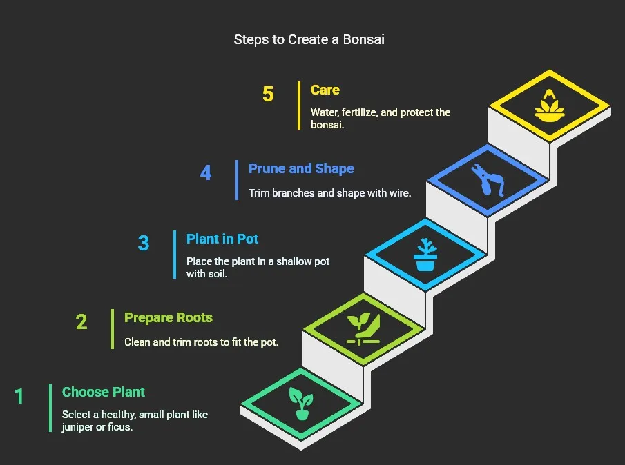 Bonsai trees infograph